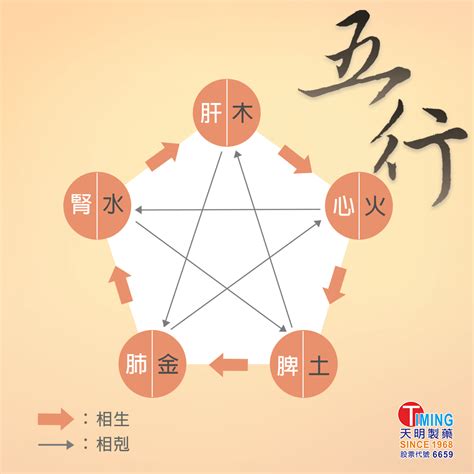 心肝脾肺腎情緒|中醫知識 